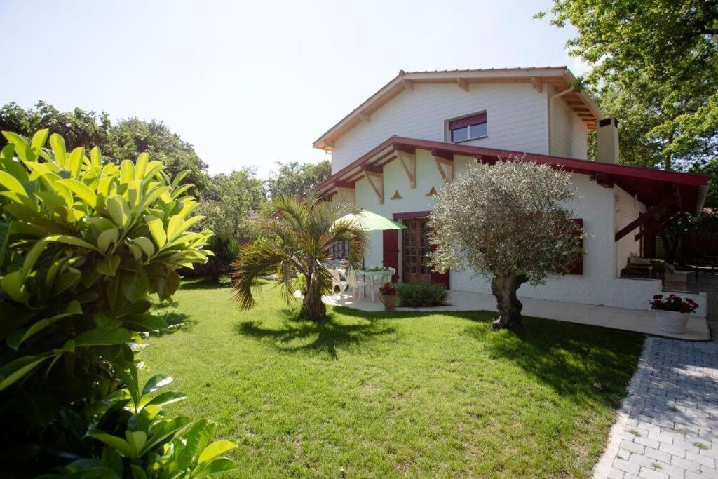 Villa Robert Shumann, A 700 M De La Plage Andernos-les-Bains Esterno foto